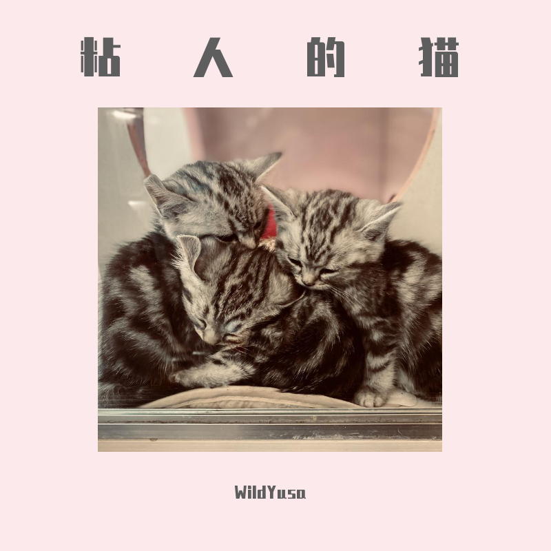 粘人的猫(By：Yondo)封面