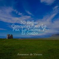 50 Bellas Canciones Para La Paz, La Calma Y El Sueño