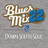 Blues Mix, Vol. 22: Down South Soul