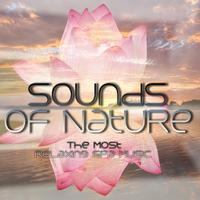 The Most Relaxing Spa Music - Sounds of Nature, New Age Music, Spa Music, Meditation, Sleep Music, Spa Dreams, Solo Piano New Age