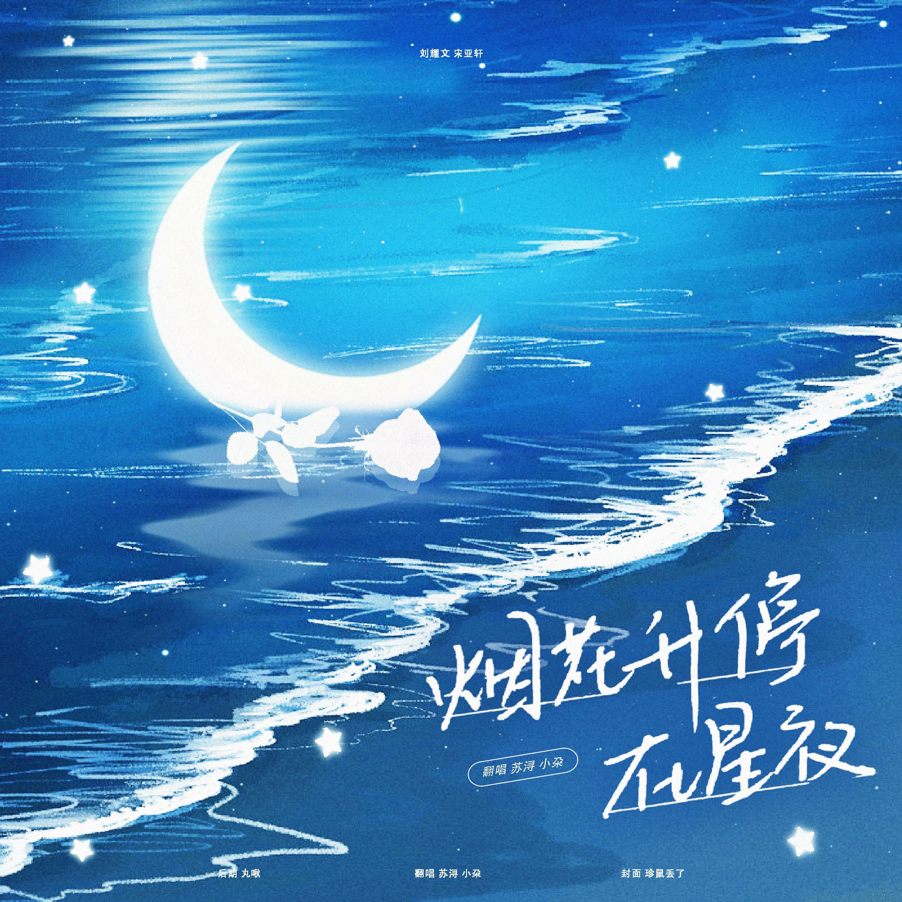 烟花升停在星夜封面