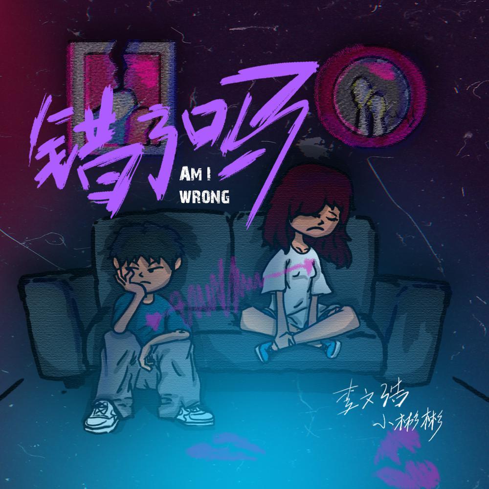 错了吗封面
