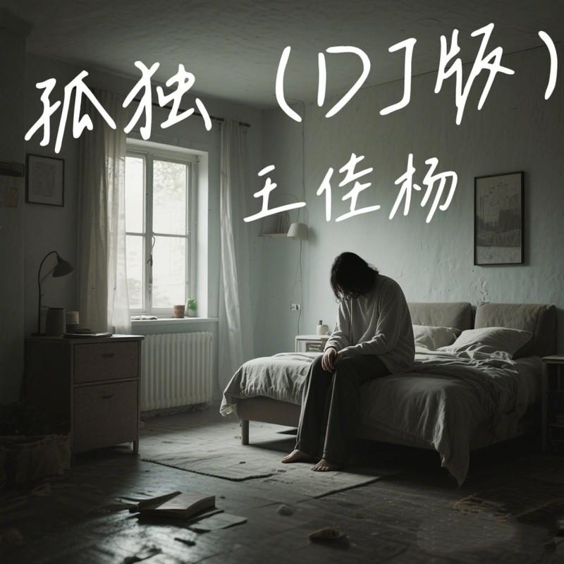 孤独(DJ版)封面
