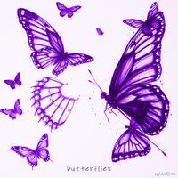 butterflies.