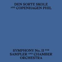 Symphony No.Ii for Sampler and Chamber Orchestra