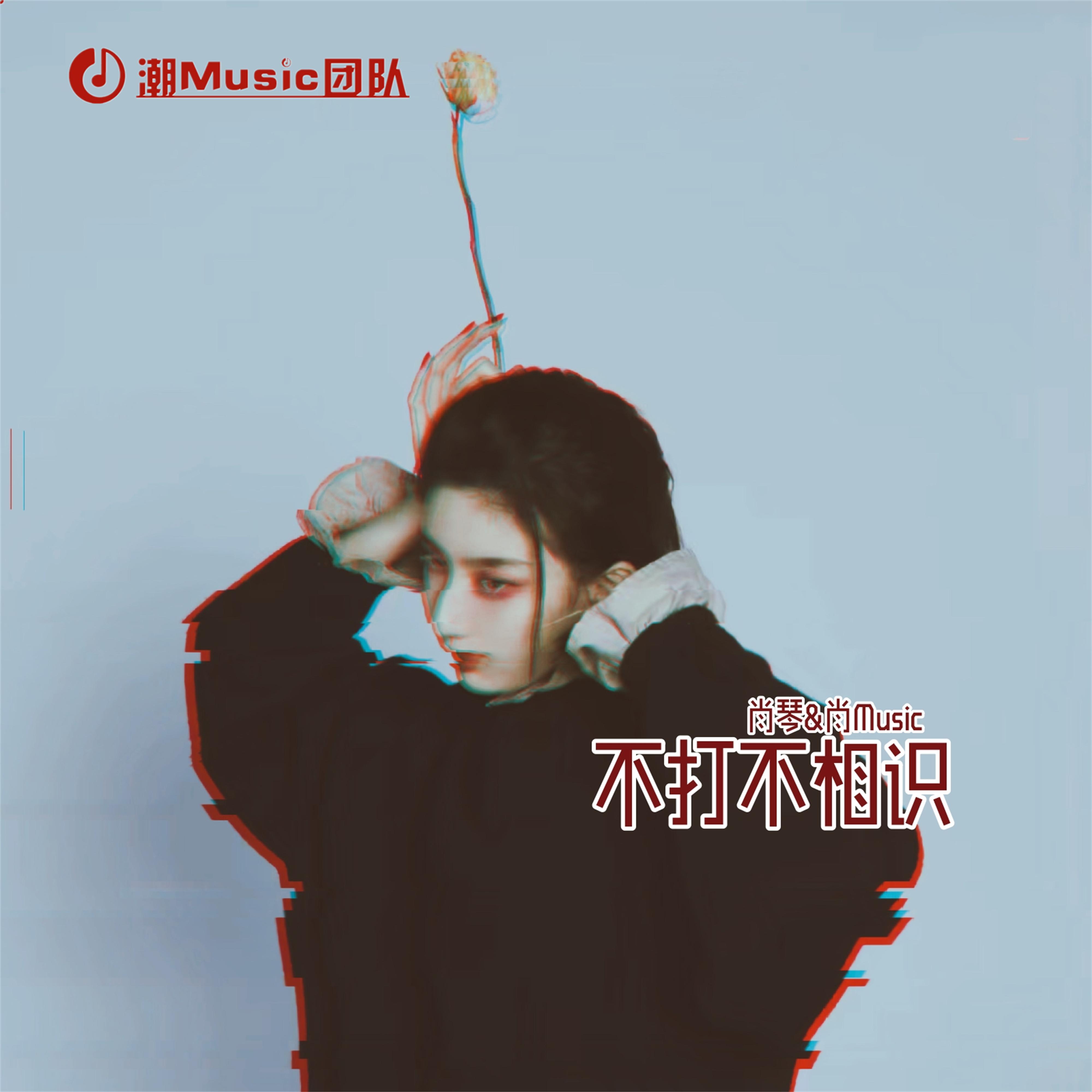 去做朋友_肖琴_不打不相识 | 在线播放_去做朋友歌词_去做朋友下载 | 网易云音乐