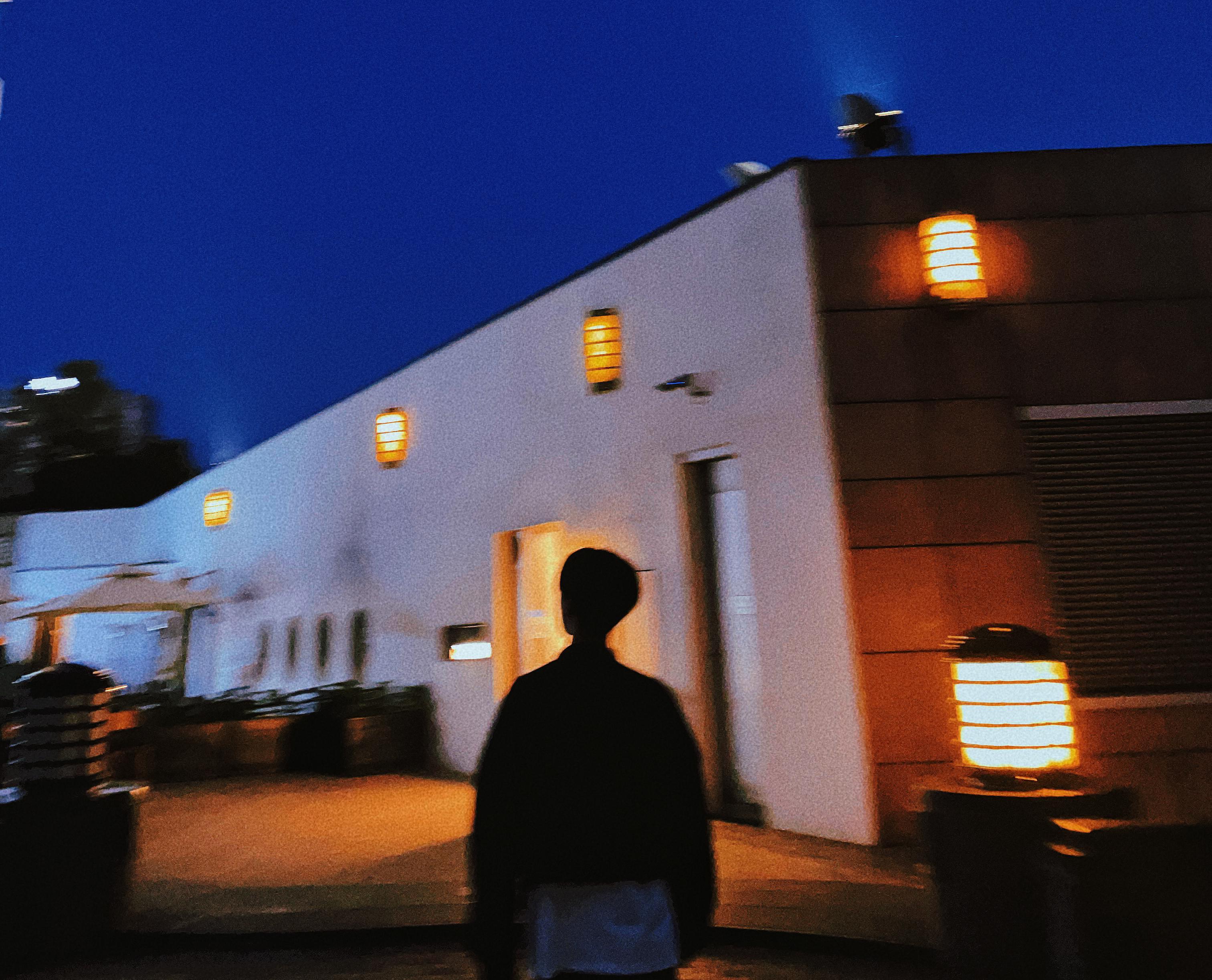 拜德盖Viigho