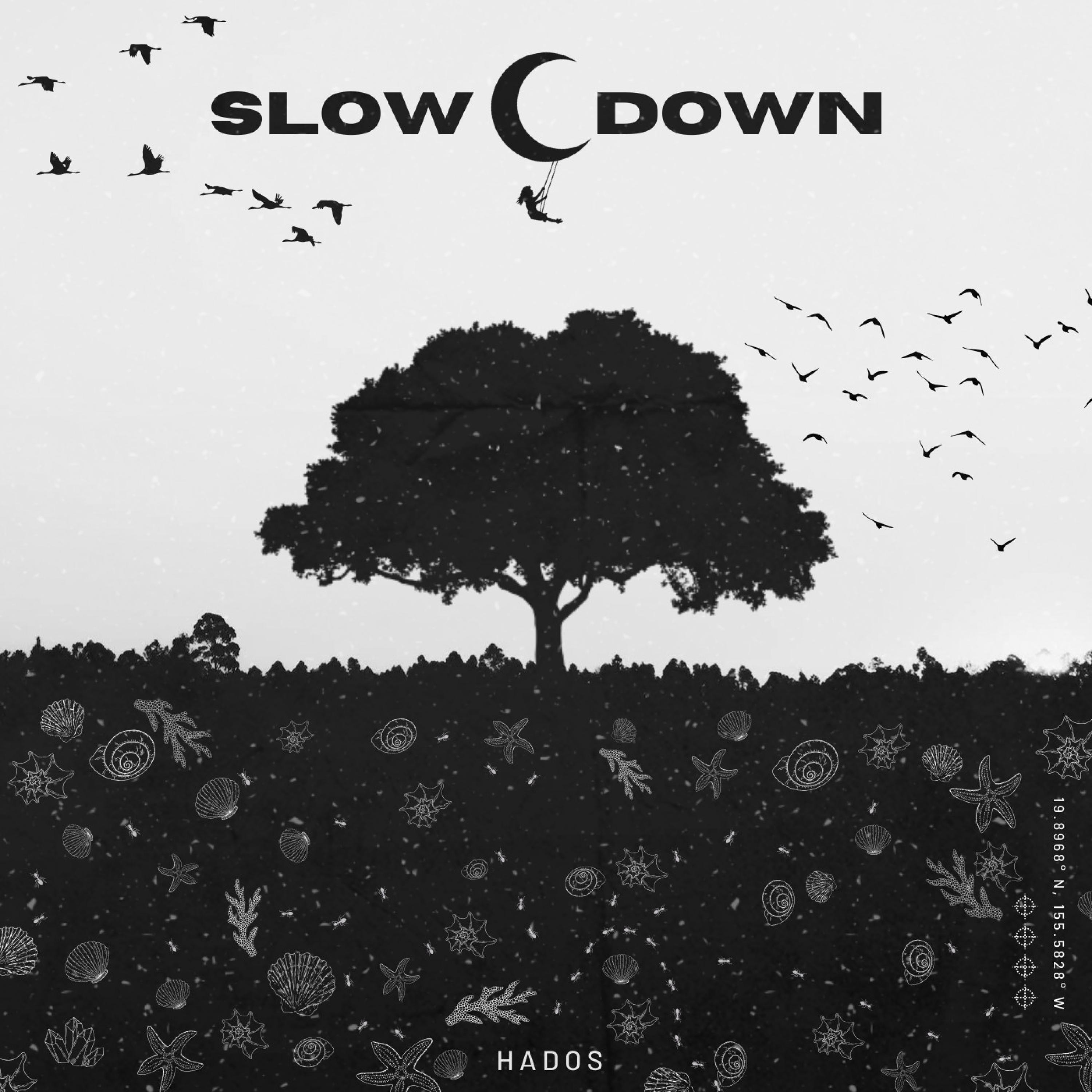 Slow Down