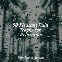 50 Pleasant Rain Tracks for Relaxation