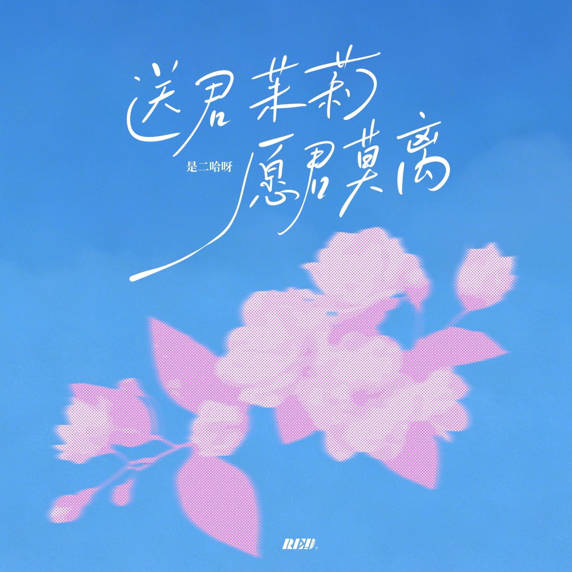 送君茉莉 愿君莫离封面