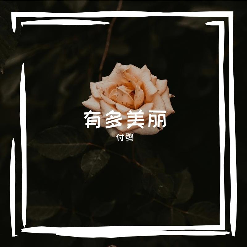 有多美丽 伴奏 - 付鸮封面