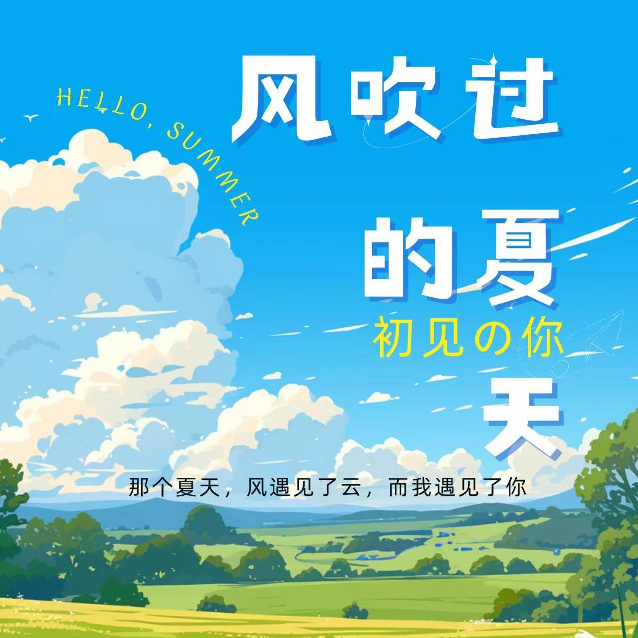 风吹过的夏天封面