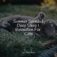 Summer Sounds | Deep Sleep & Relaxation For Cats