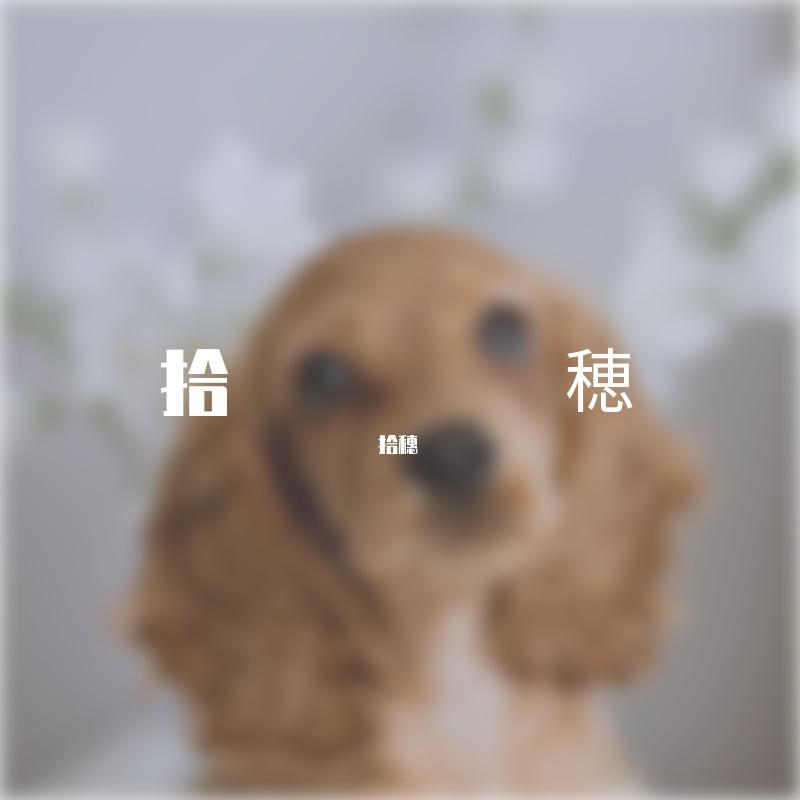 踏山河 - 拾穗封面