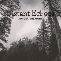 Distant Echoes