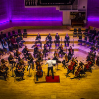 Manchester Camerata