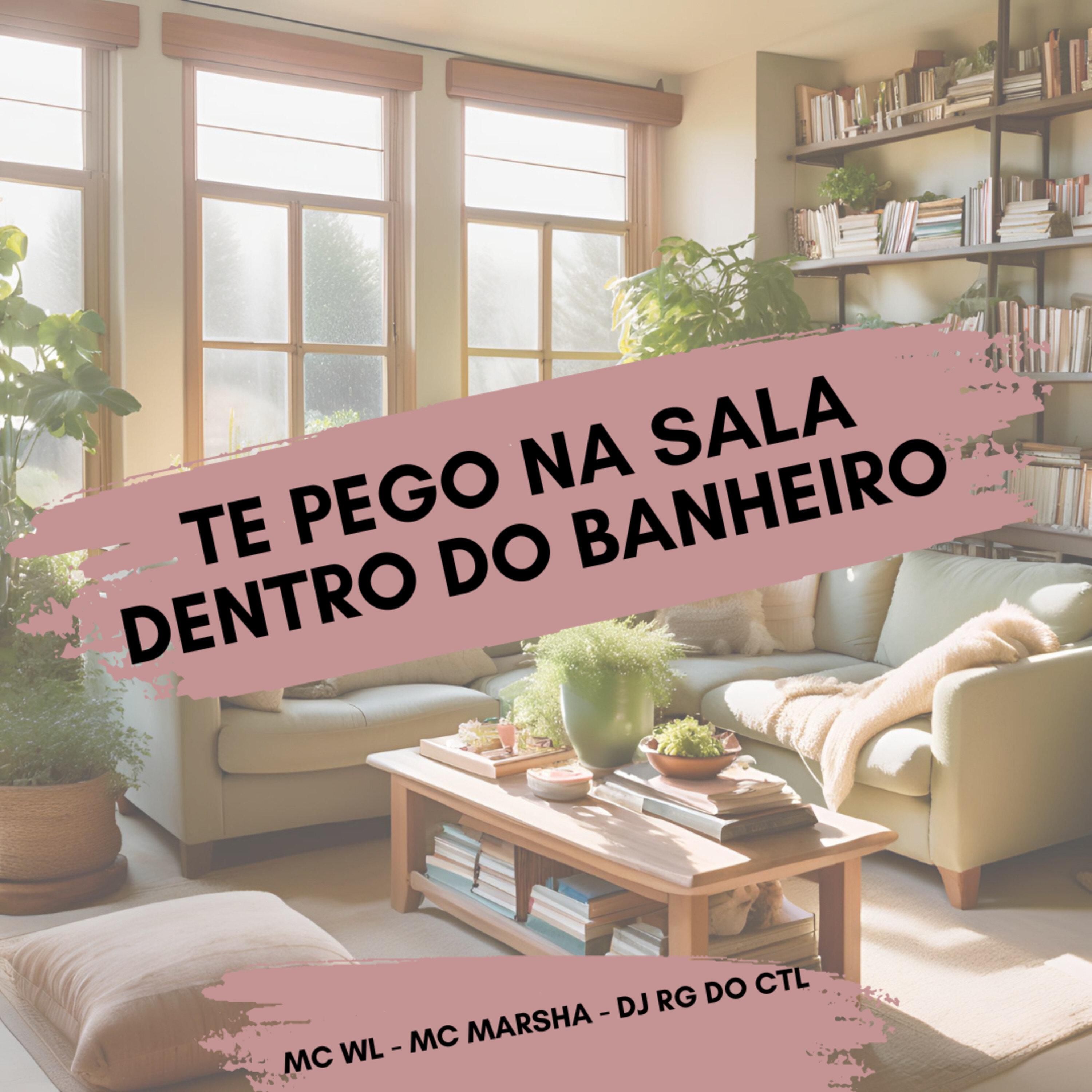 Te Pego na Sala Dentro do Banheiro