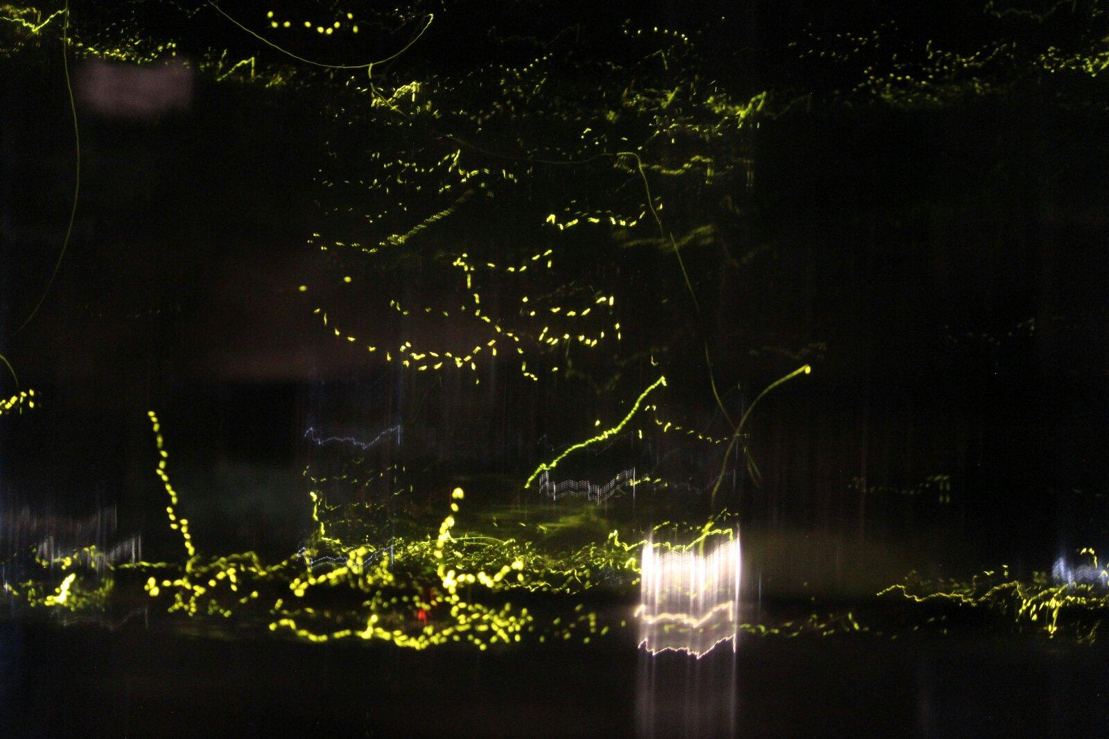 腐草为萤（Cover 银临）