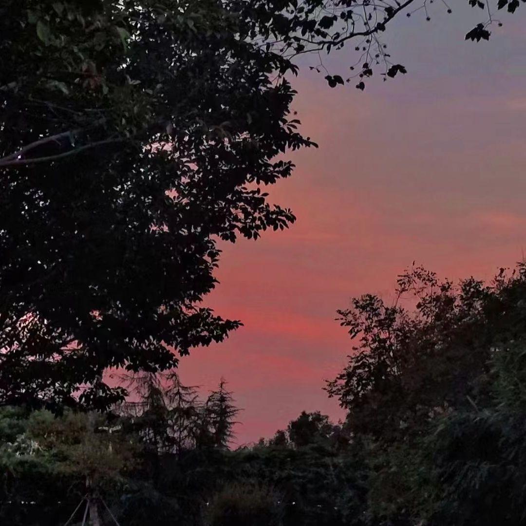 等一个夏天封面