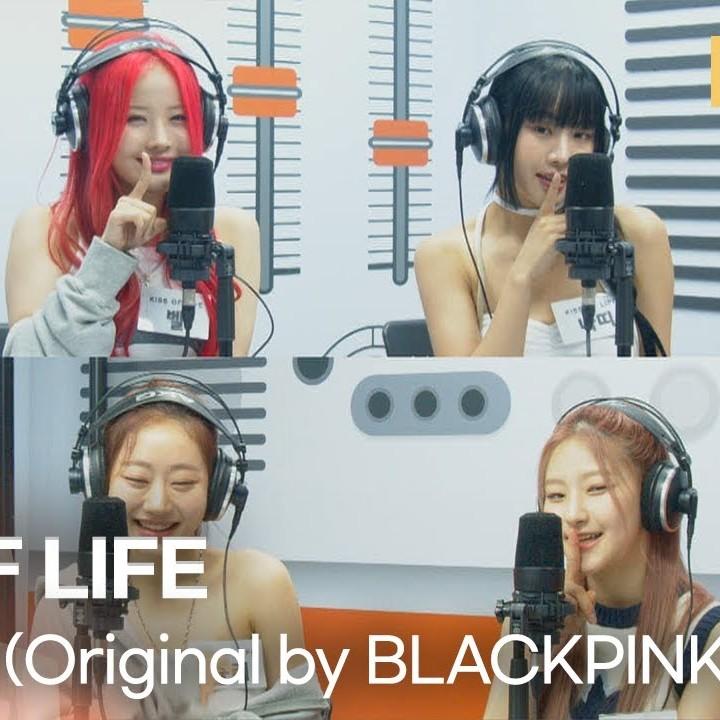 WHISTLE (Live)封面