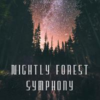 Nightly Forest Symphony