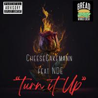 Turn It Up (feat. NDE)