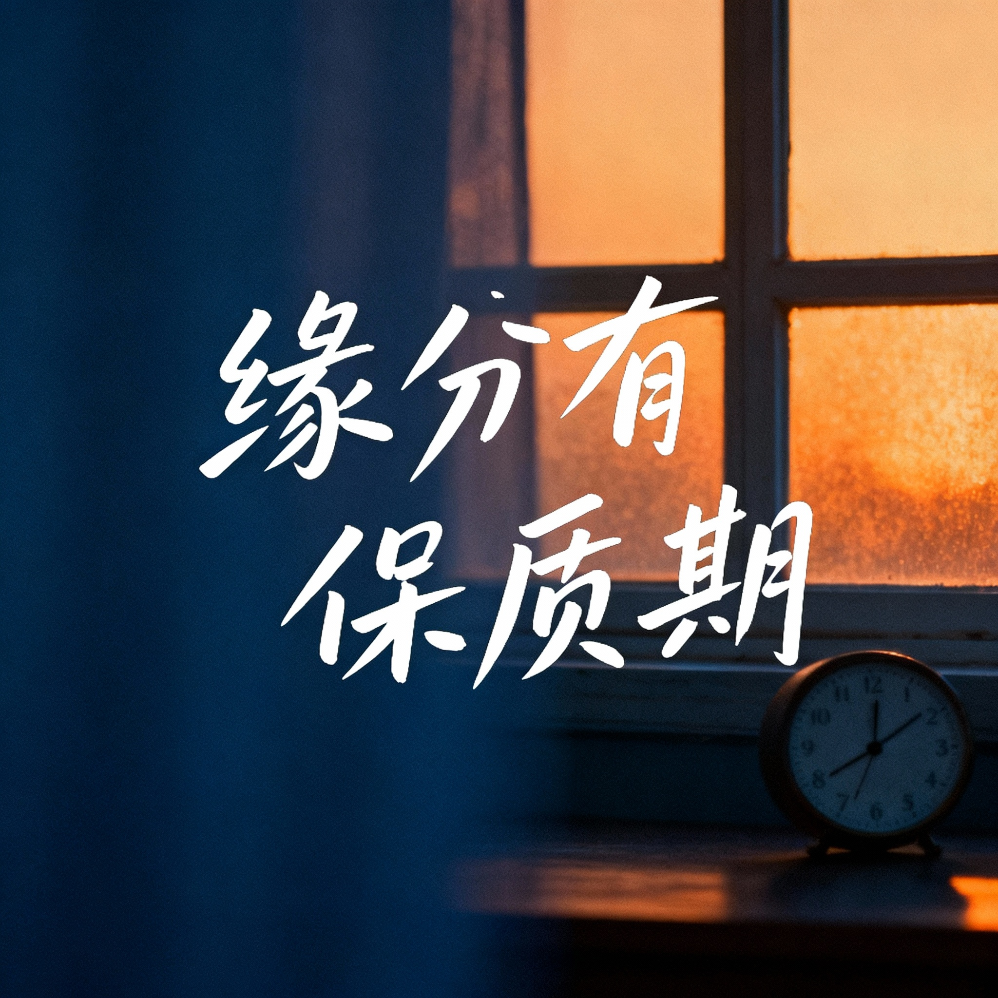 缘分有保质期封面