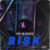 Lp Marcy - Risk