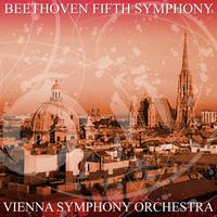 Beethoven Fifth Symphony