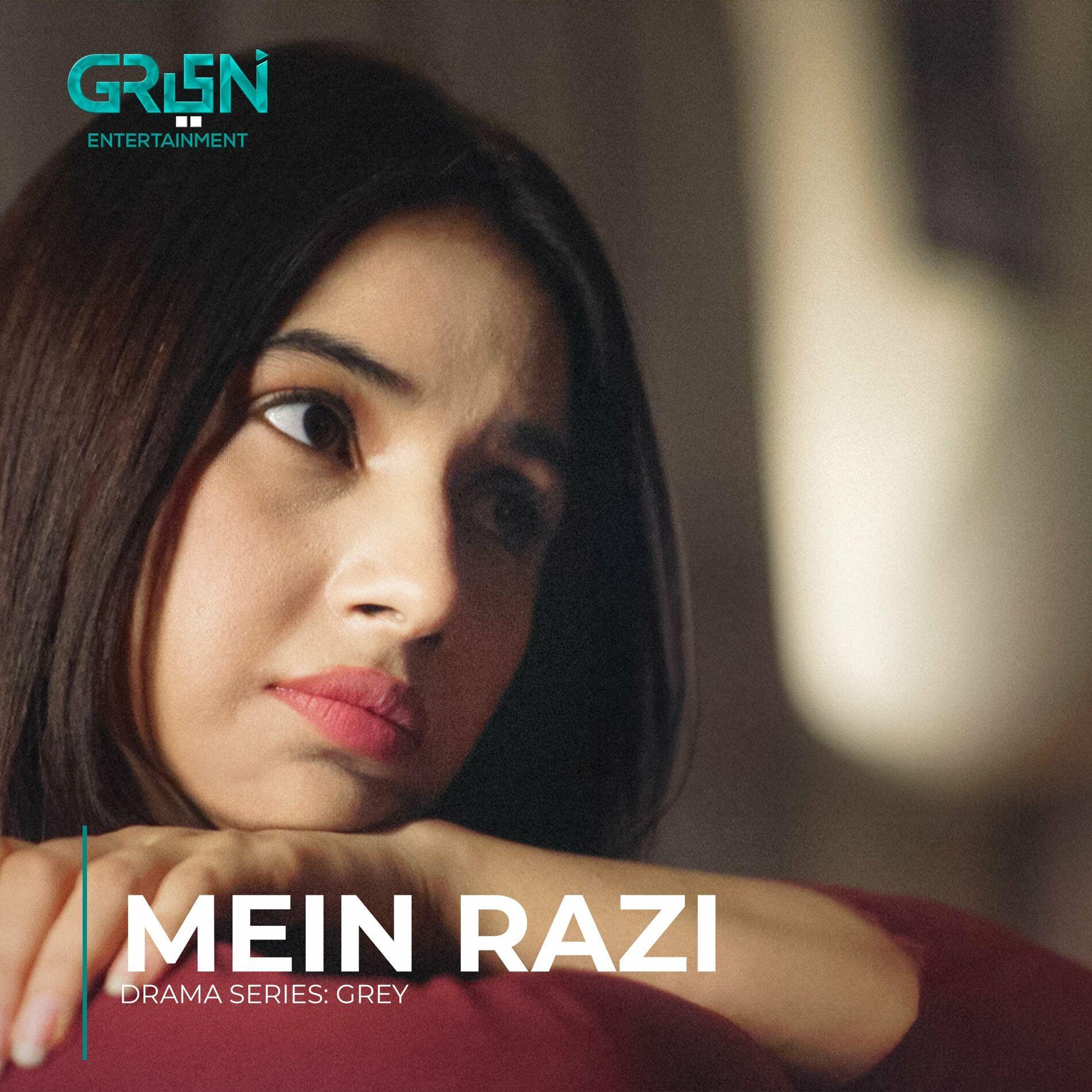 Mein Razi (From "Grey")