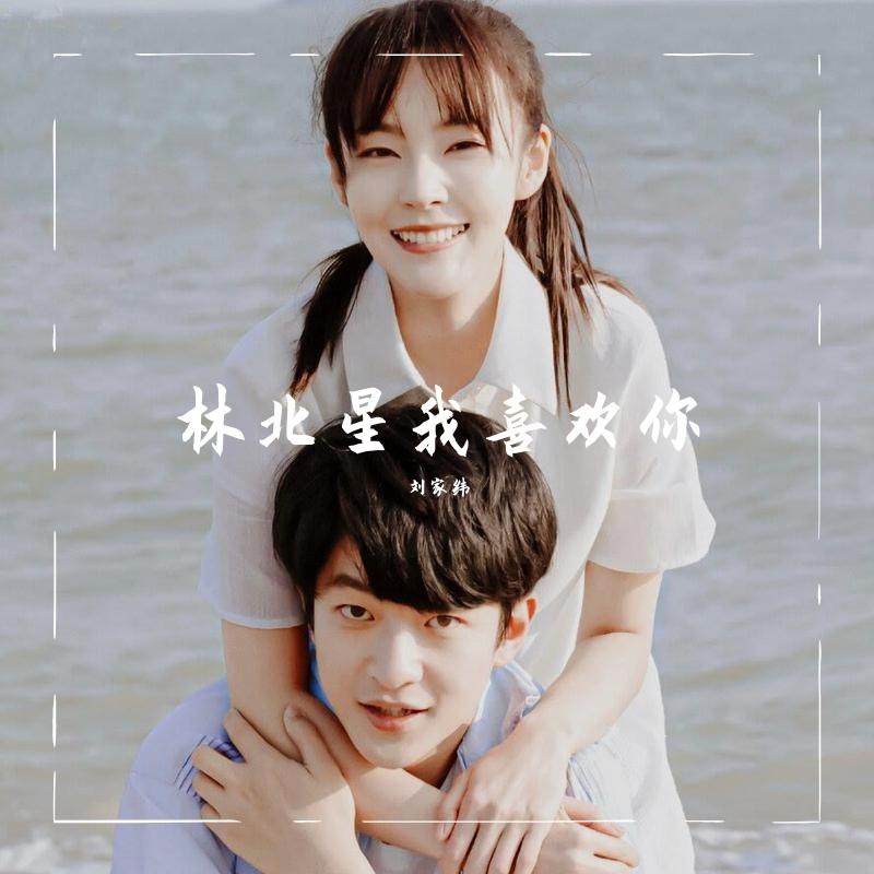 张万森林北星时空