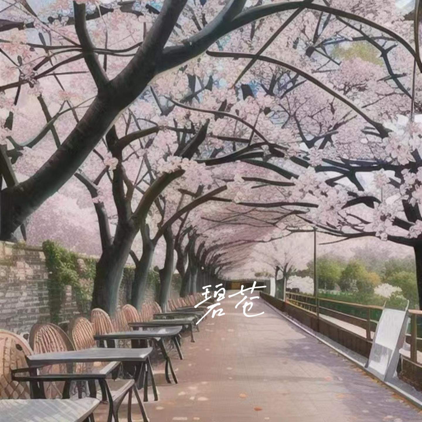 碧苍封面