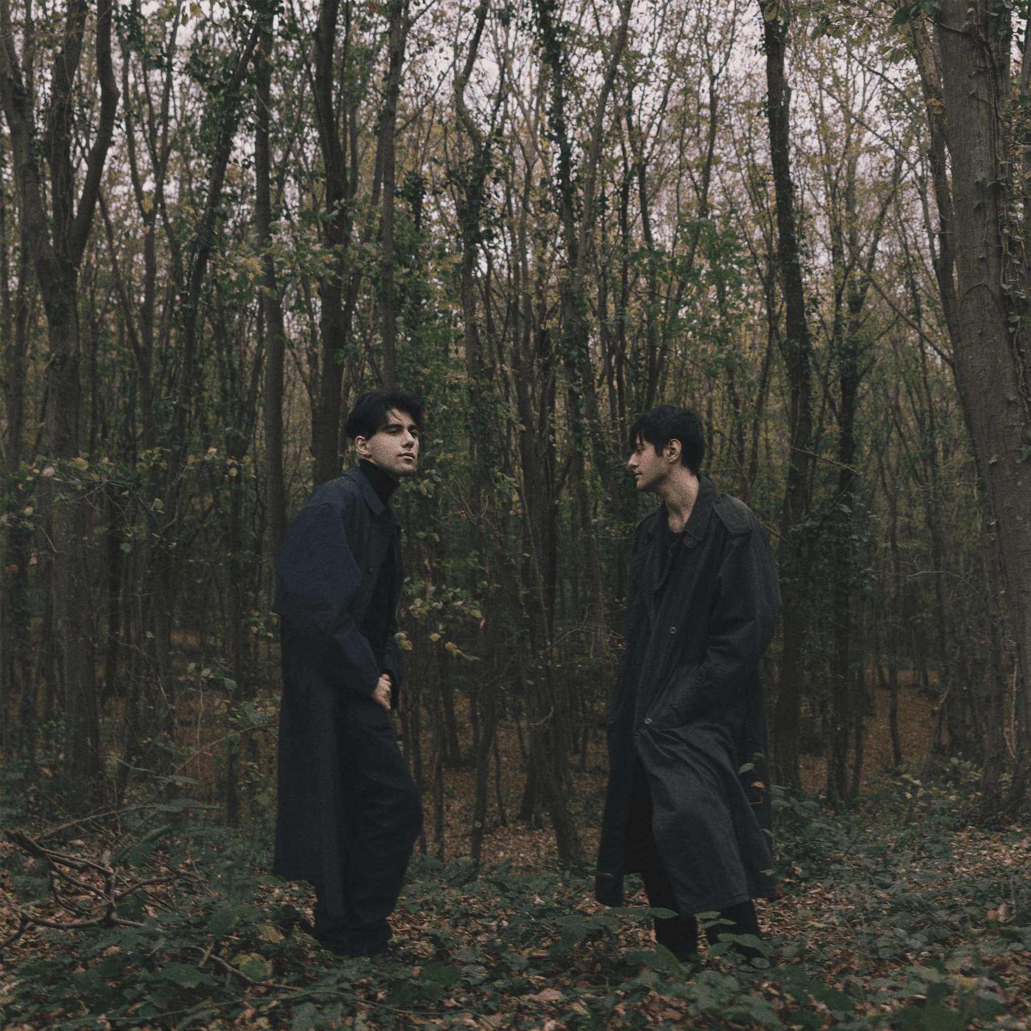 Animal - Rauf & Faik封面