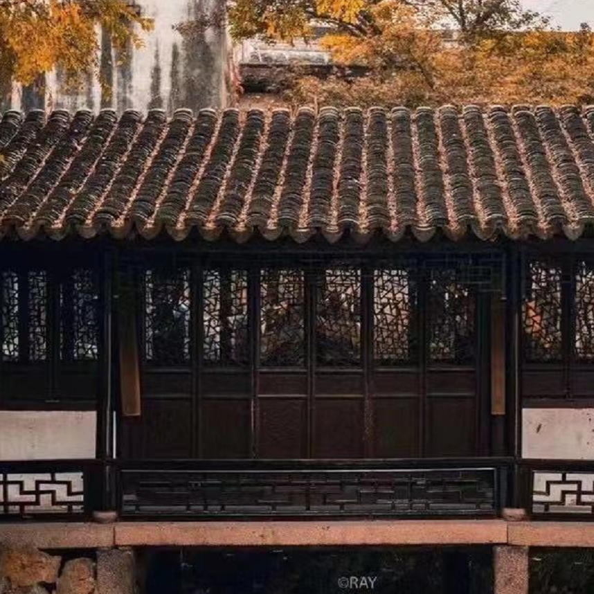 浮梦半生封面