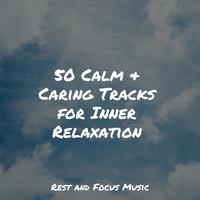 50 Calm & Caring Tracks for Inner Relaxation