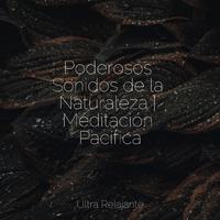 Poderosos Sonidos de la Naturaleza | Meditación Pacífica