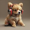 Dog Wellness - Canine Dance Tunes