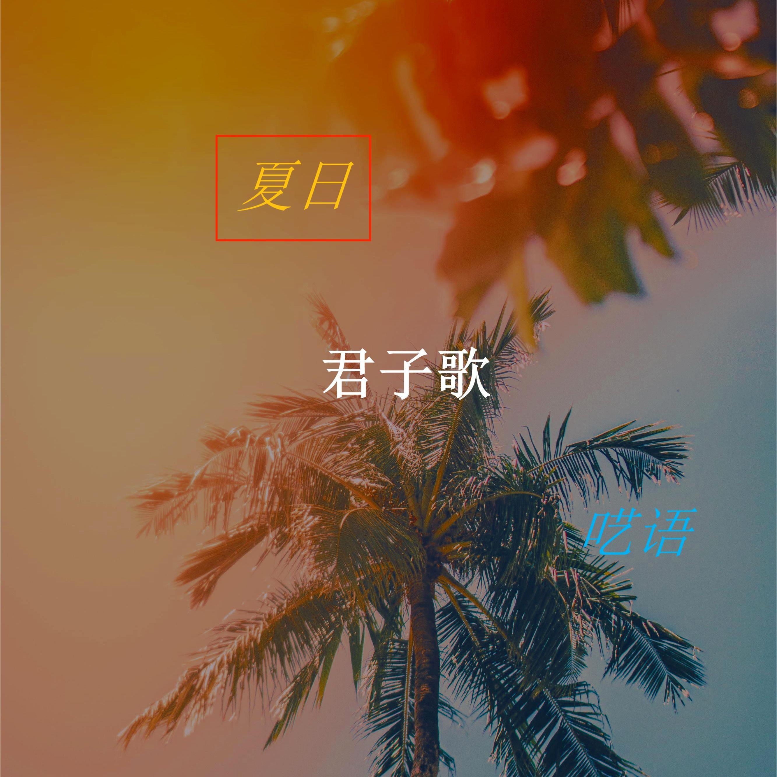 一把破吉他1999（cover.赵照）封面