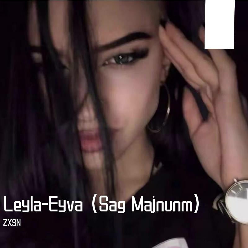 Leyla-Eyva (Sag Majnunm)封面