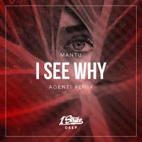 I See Why (AGENT! Remix)