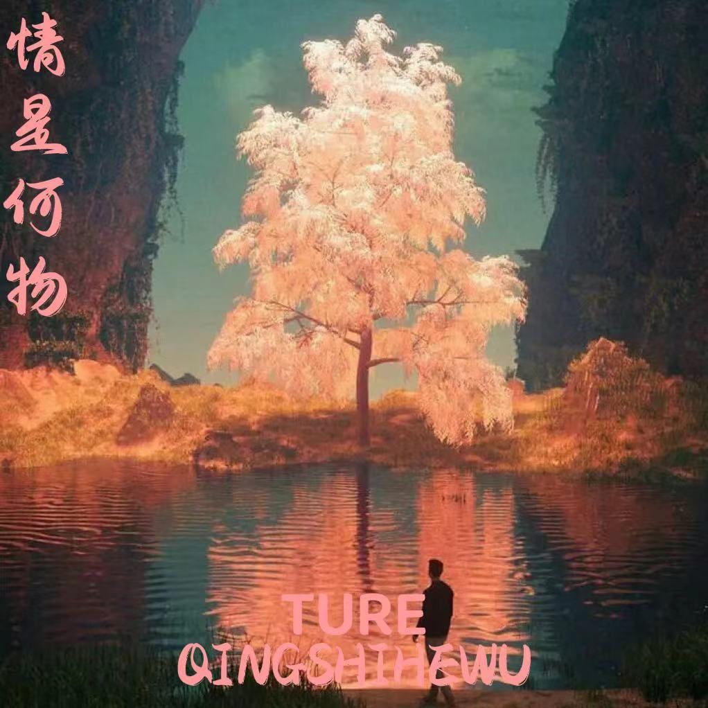 情是何物封面