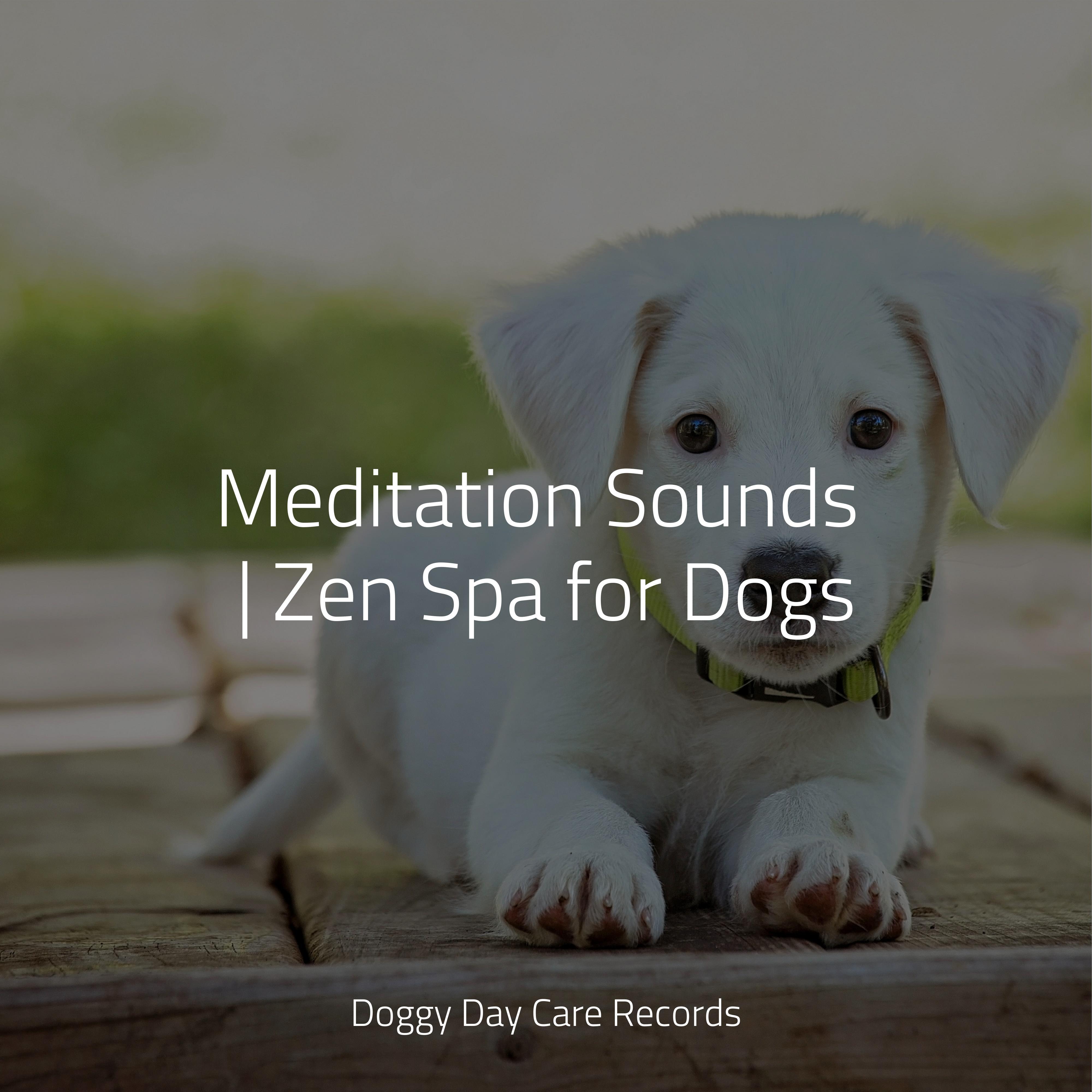 Picture of Floating on Air - Music for Calming Dogs/Jazz Music Therapy for Dogs ...