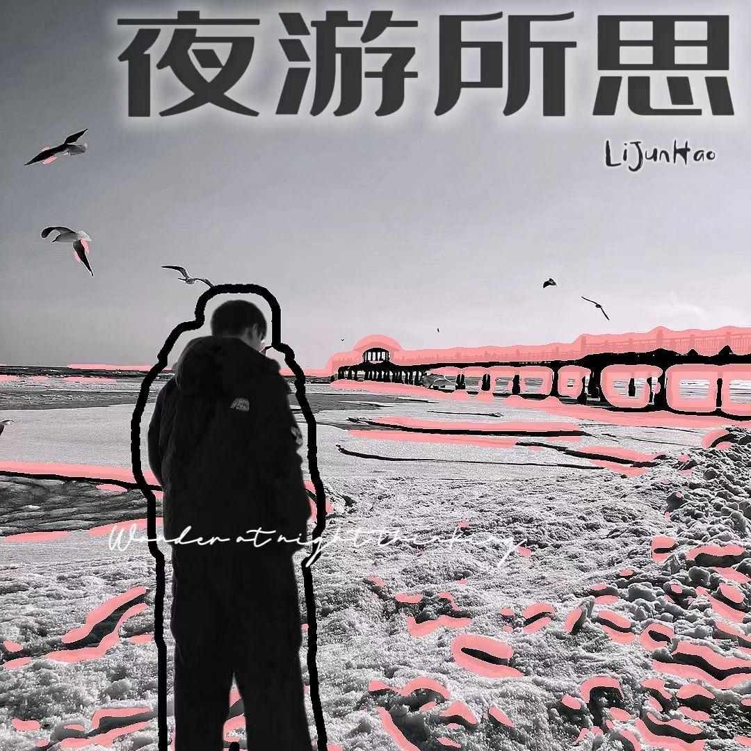 夜游所思封面