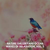 Nature Gallery and Ocean Waves of Relaxation, Vol. 5