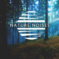 Nature Noises: ASMR Sounds, White Noises for Sleeping