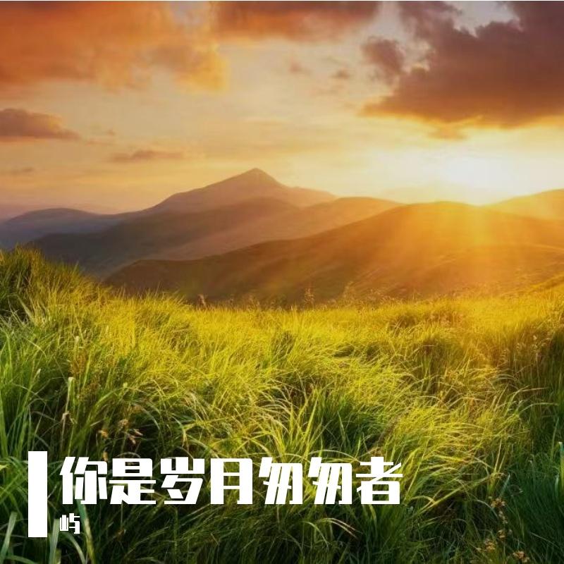 孤勇照四方封面