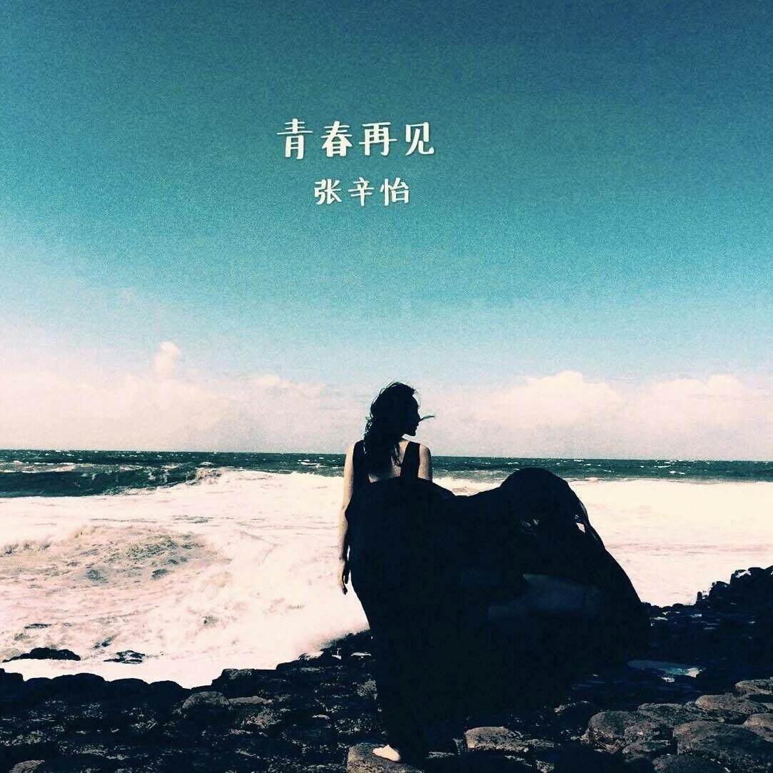 青春再见 - 张辛怡封面