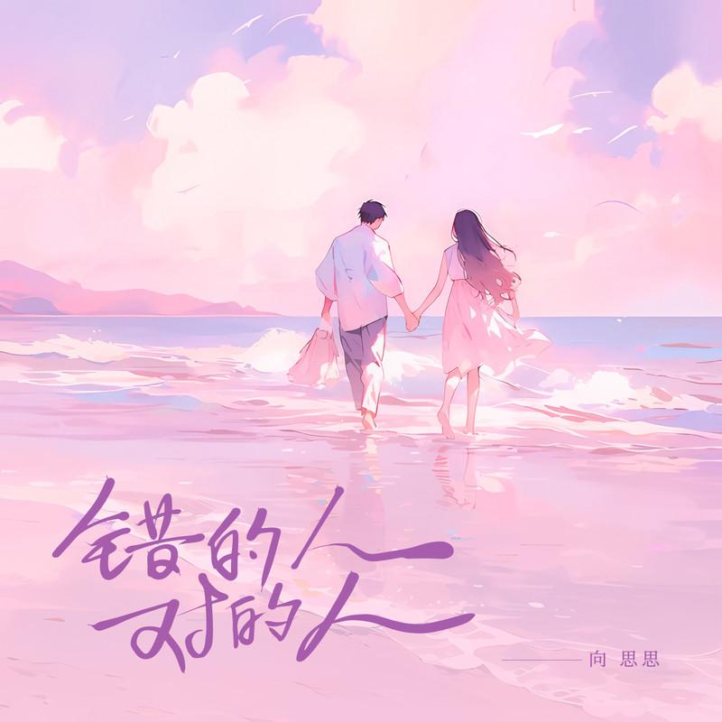 错的人对的人封面