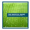 Magical Healing Raindrops Music - Money Is Soft Summer