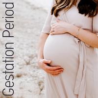 Gestation Period - Best Relaxing Music for Pregnant Women to Relax, De-stress, Massage, Bath Soothing the Senses